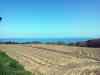20130420_135639m.jpg - 2013:04:20 13:56:38