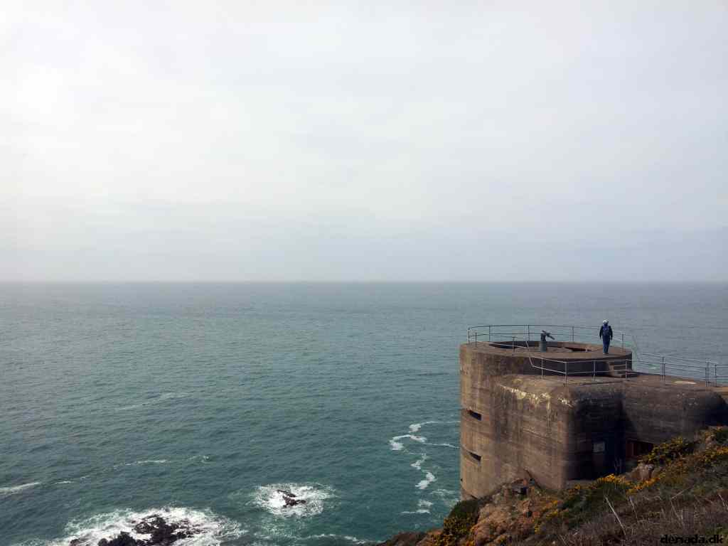 * Image 3
