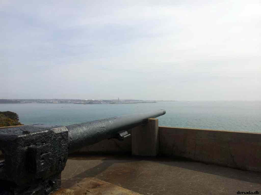 * Image 4