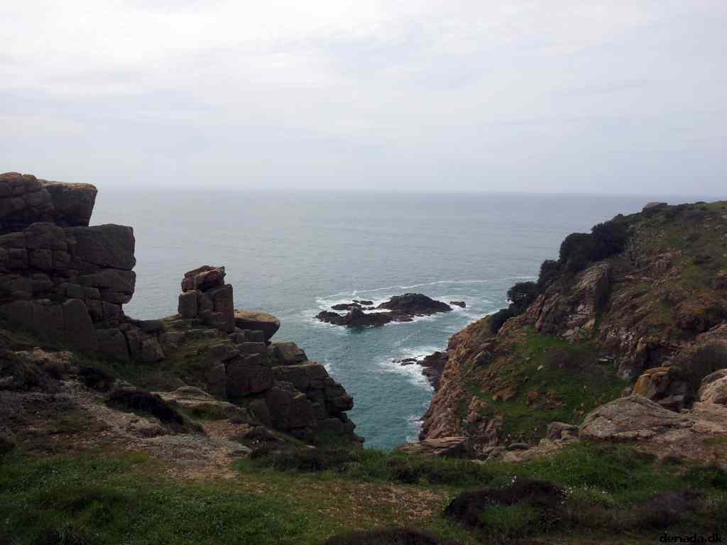 * Image 19