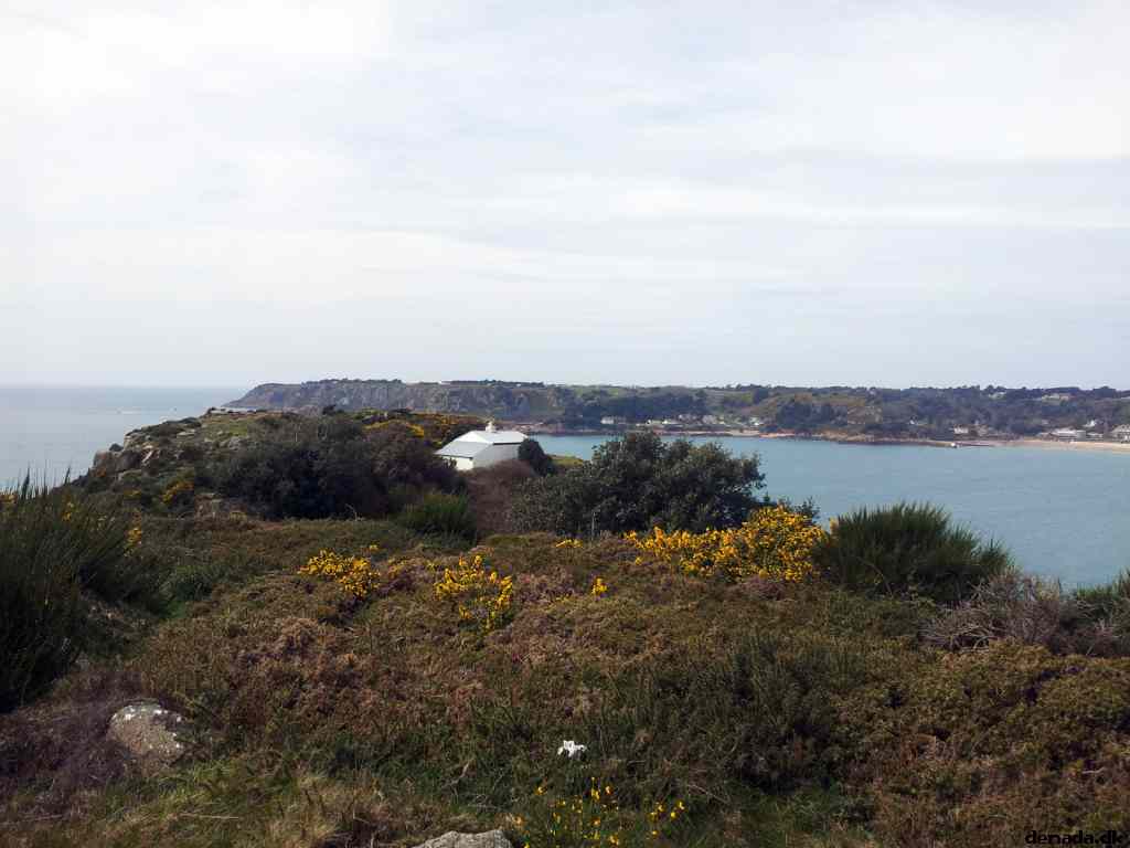 * Image 26