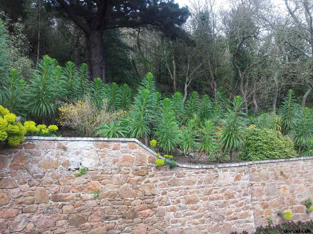* Image 38