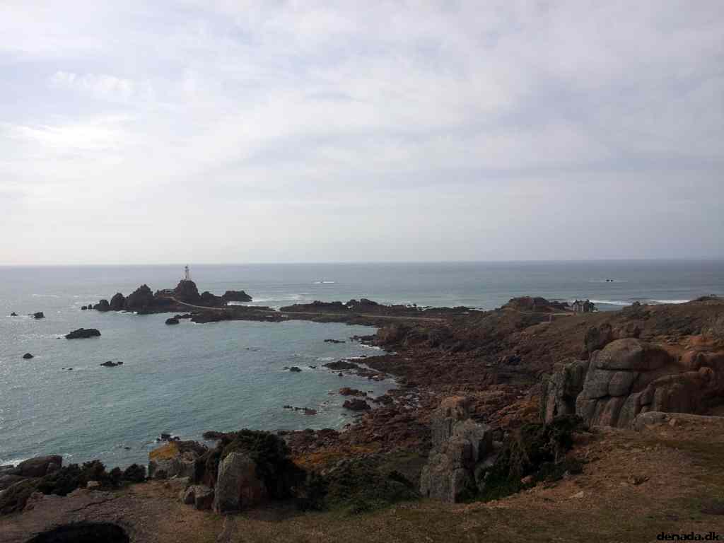 * Image 41