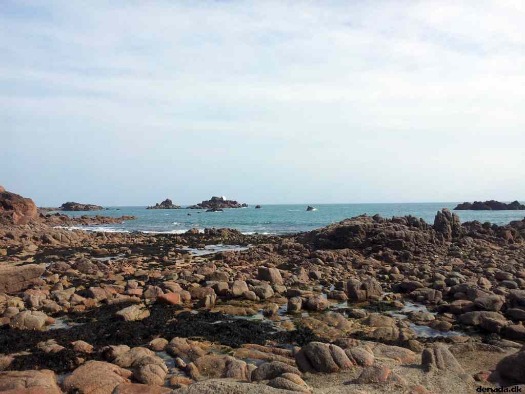 * Image 49