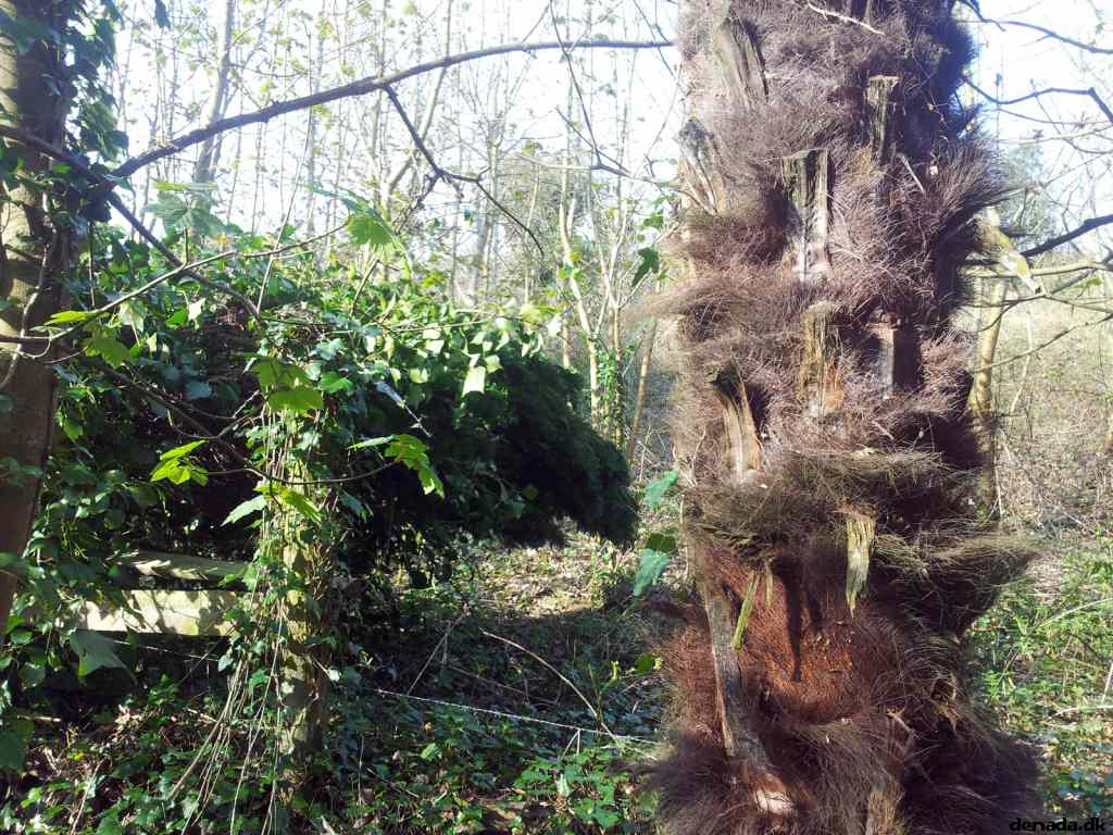 * Image 60