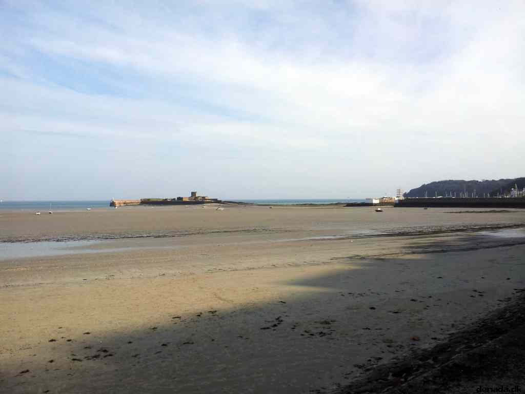 * Image 61