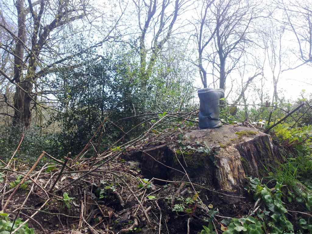* Image 74
