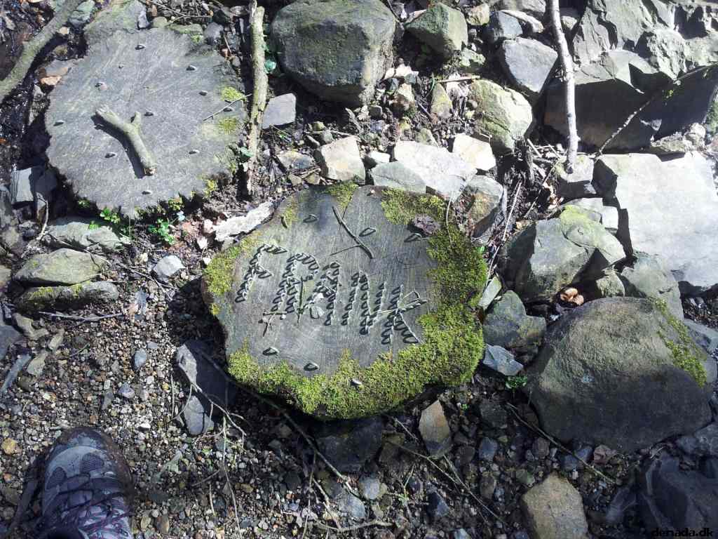 * Image 98