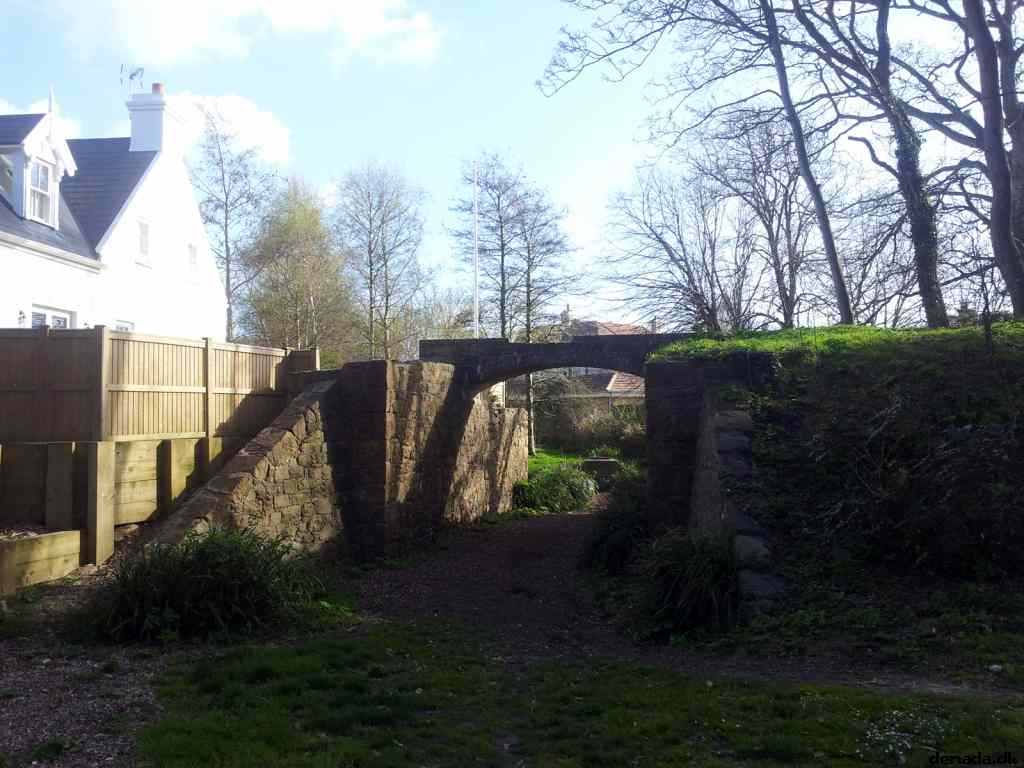 * Image 135