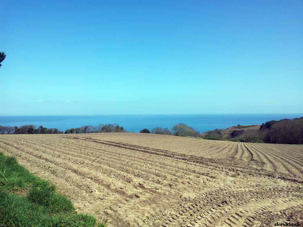 * Image 151