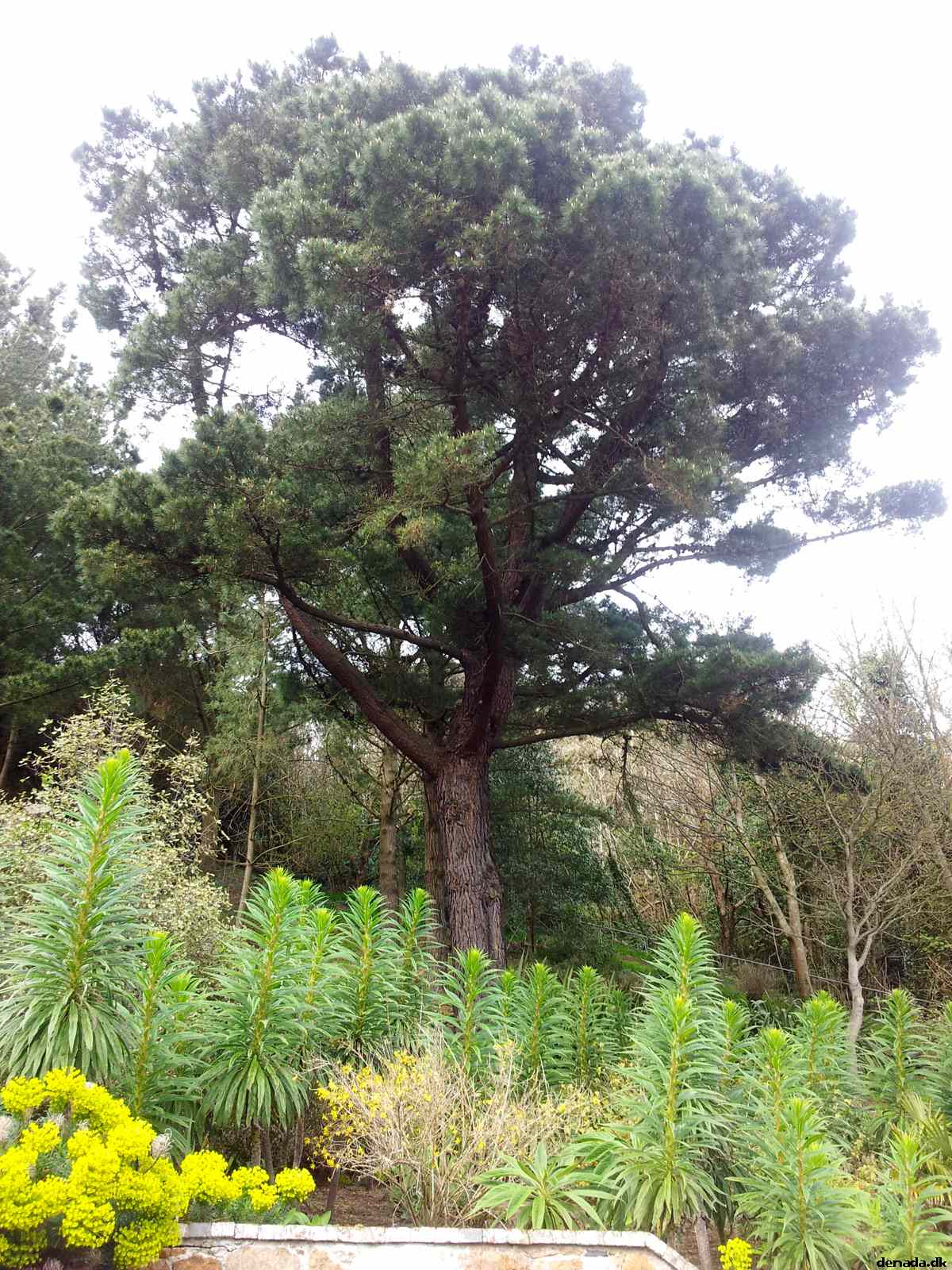 * Image 37
