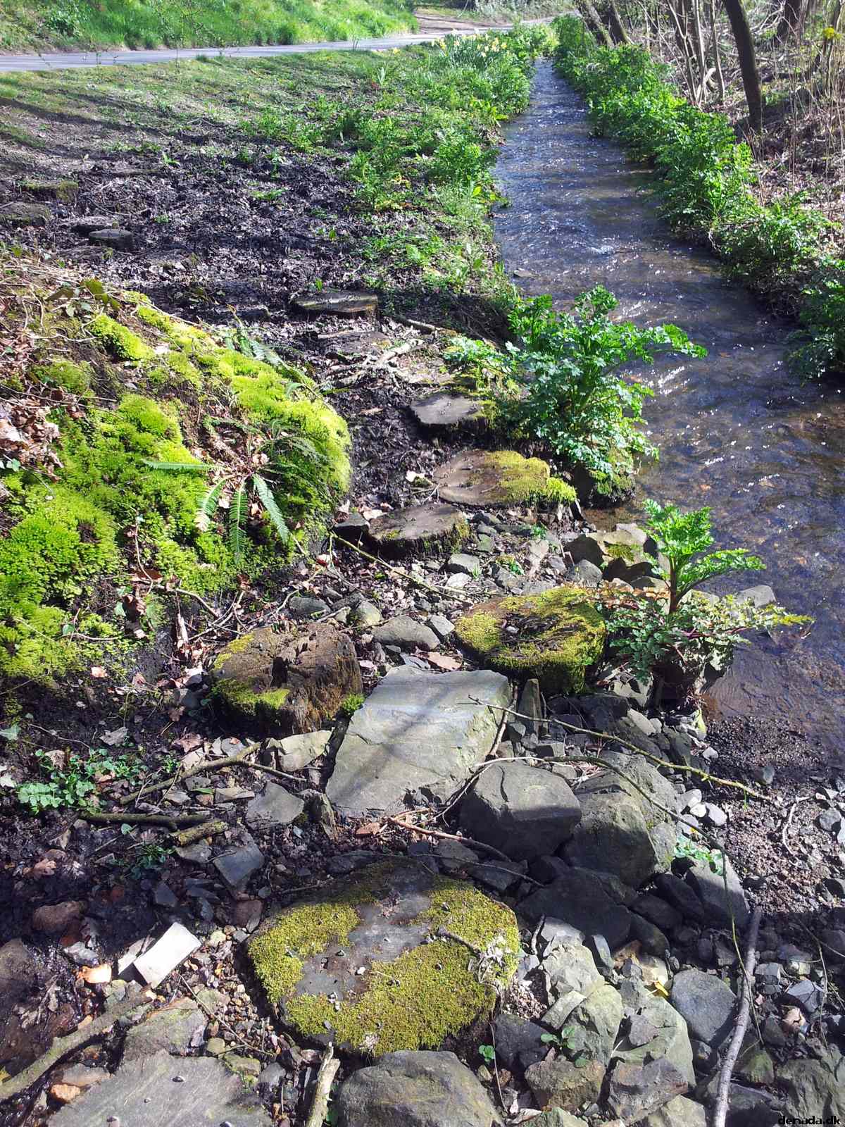 * Image 99