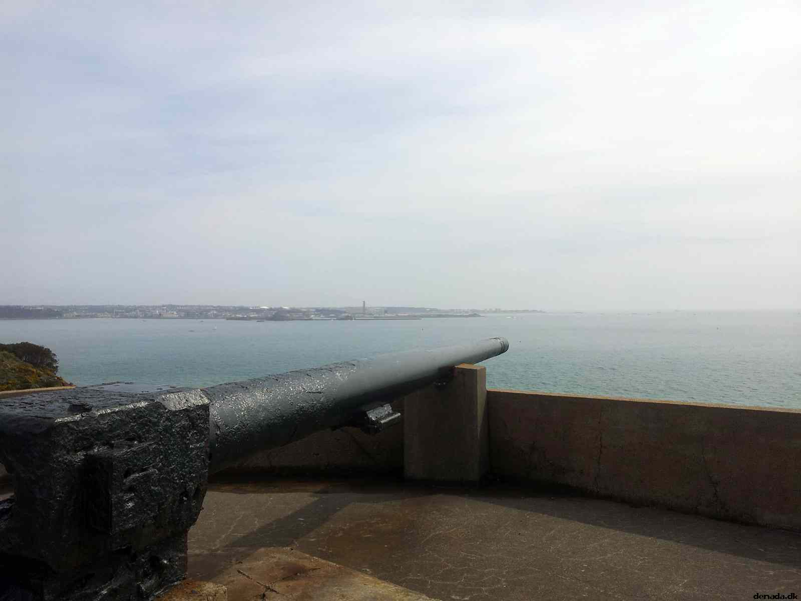 * Image 4