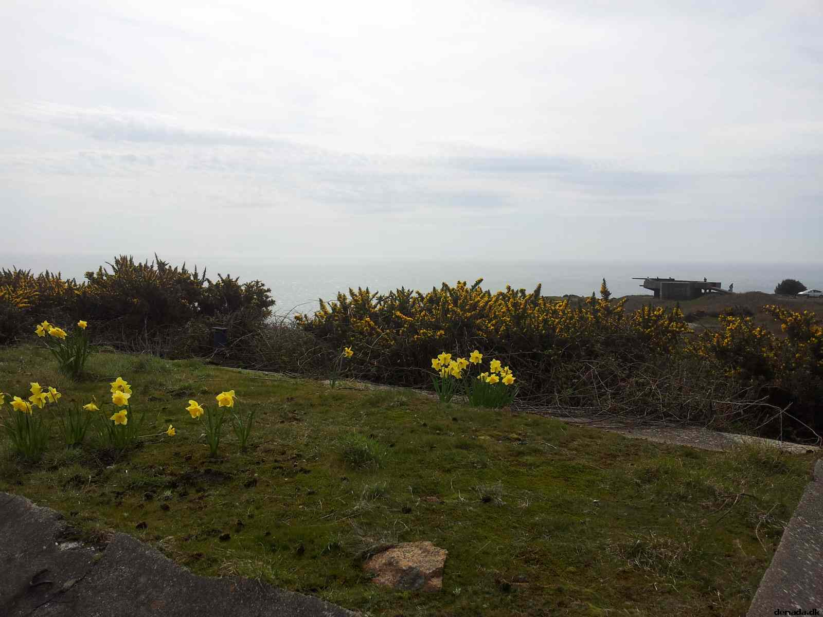 * Image 6