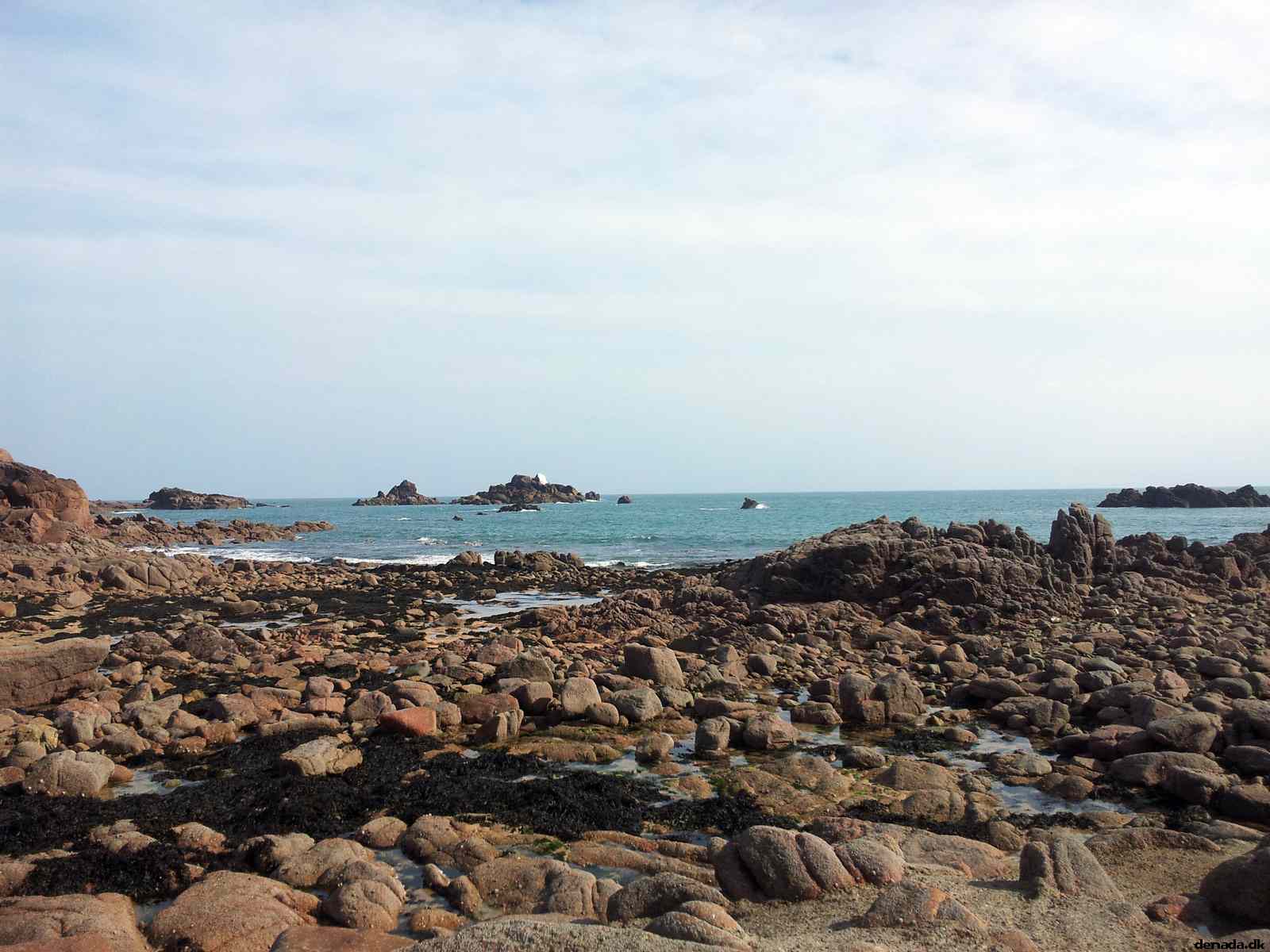 * Image 49