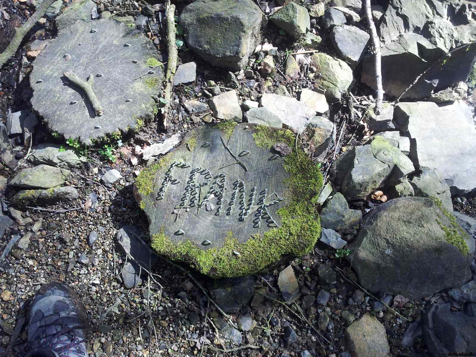 * Image 98