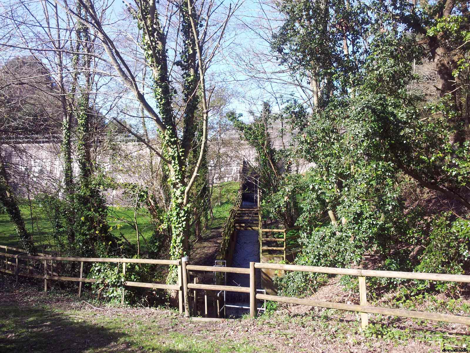* Image 103