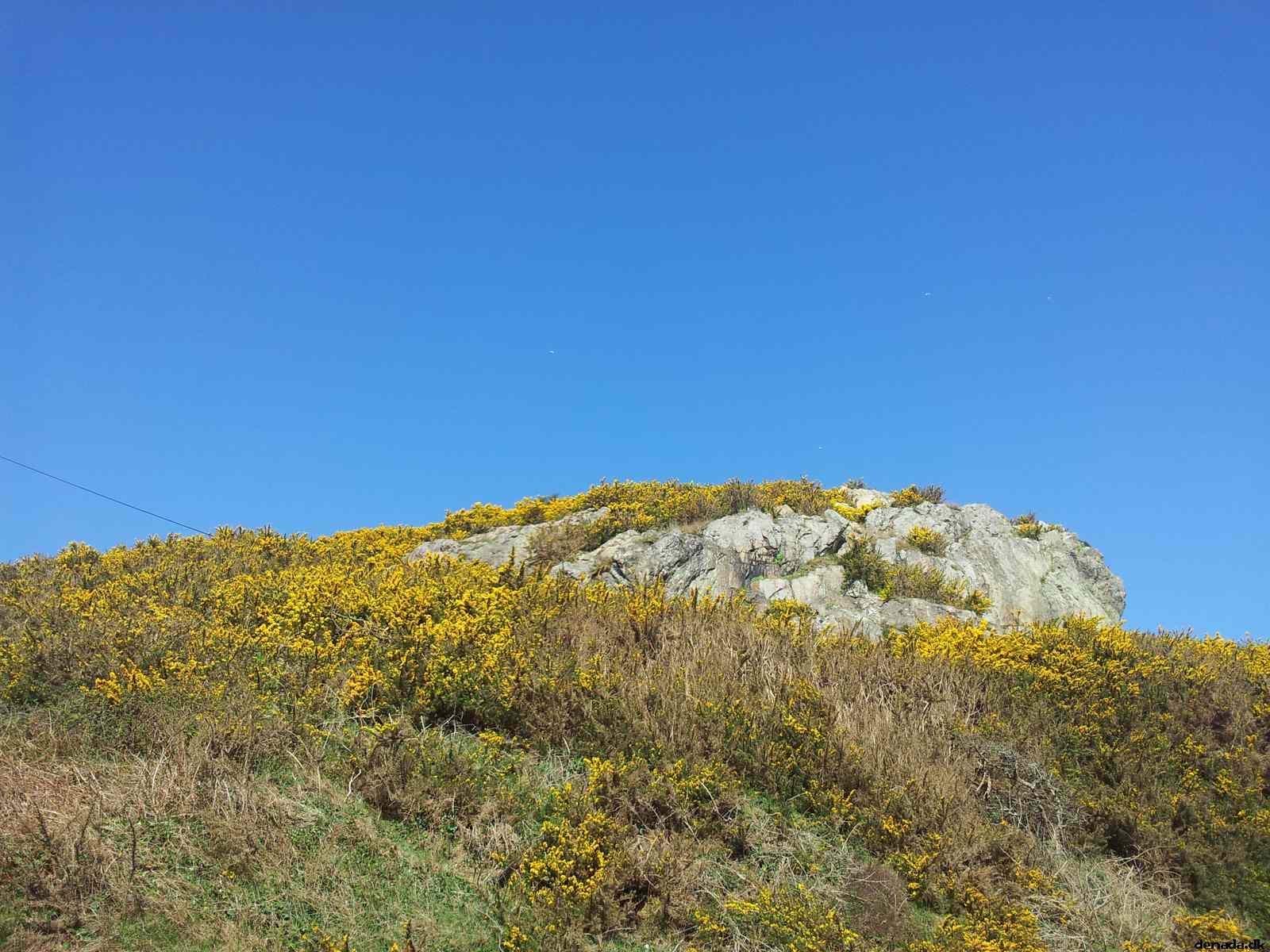 * Image 112