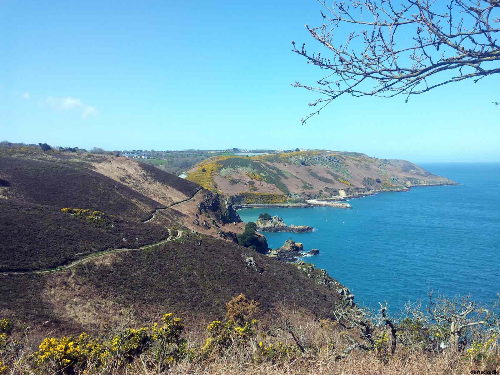* Image 120
