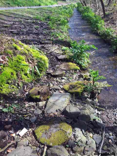 * Image 99