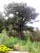 20130417_152624m.jpg - 2013:04:17 15:26:23