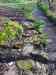 20130418_154903m.jpg - 2013:04:18 15:49:02