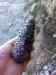 20130419_154032m.jpg - 2013:04:19 15:40:31