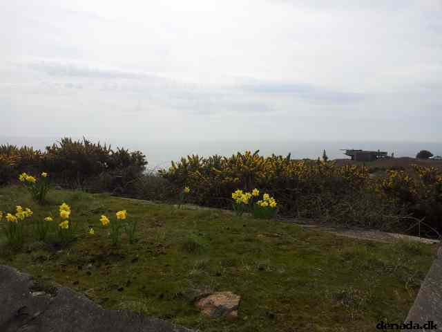 * Image 6