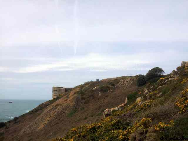 * Image 12