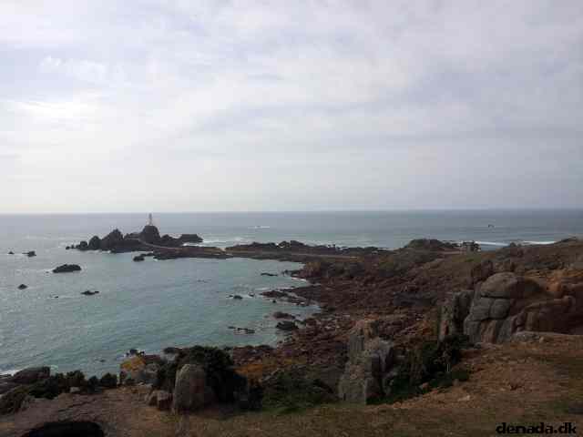 * Image 41