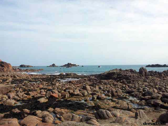 * Image 49
