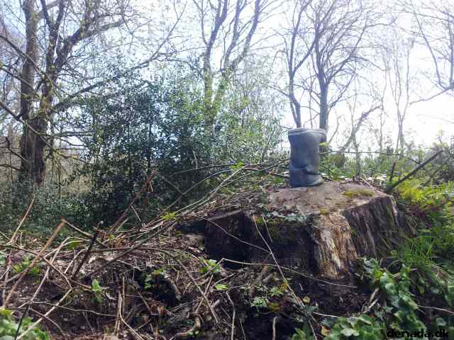 * Image 74