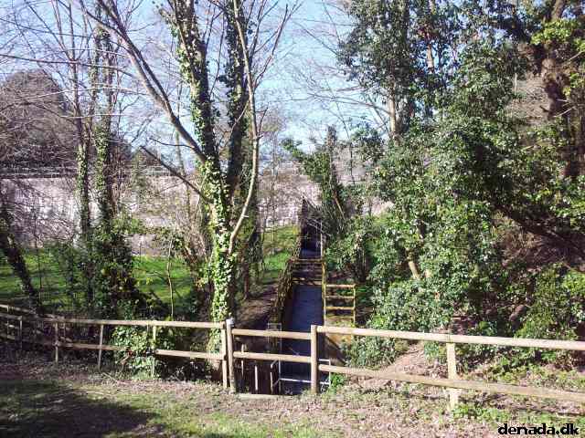 * Image 103