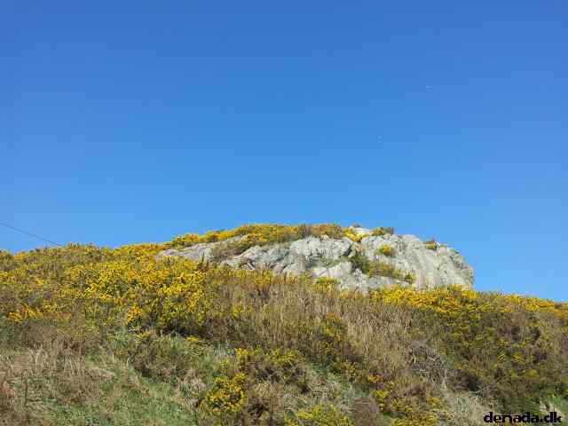 * Image 111