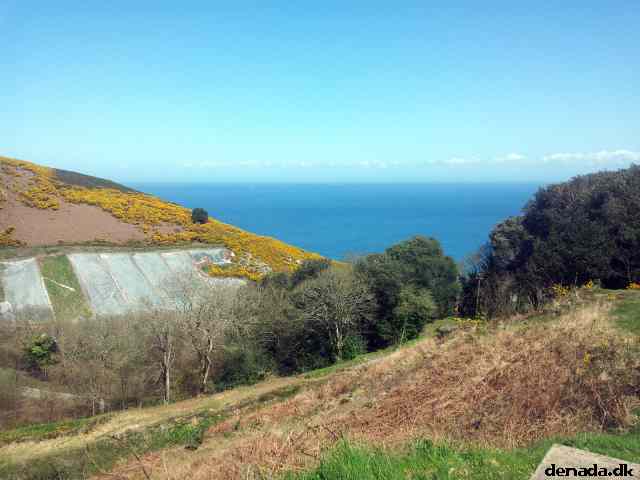 * Image 123
