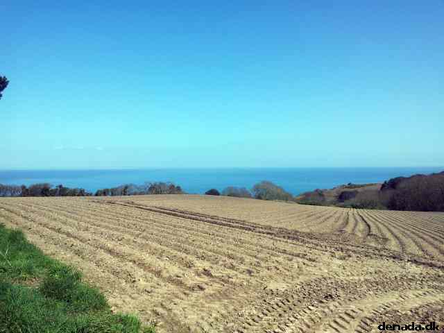 * Image 151