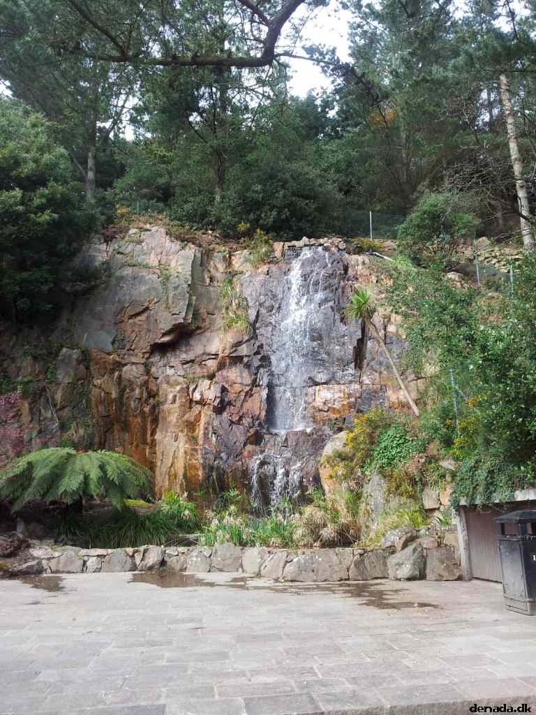 * Image 36