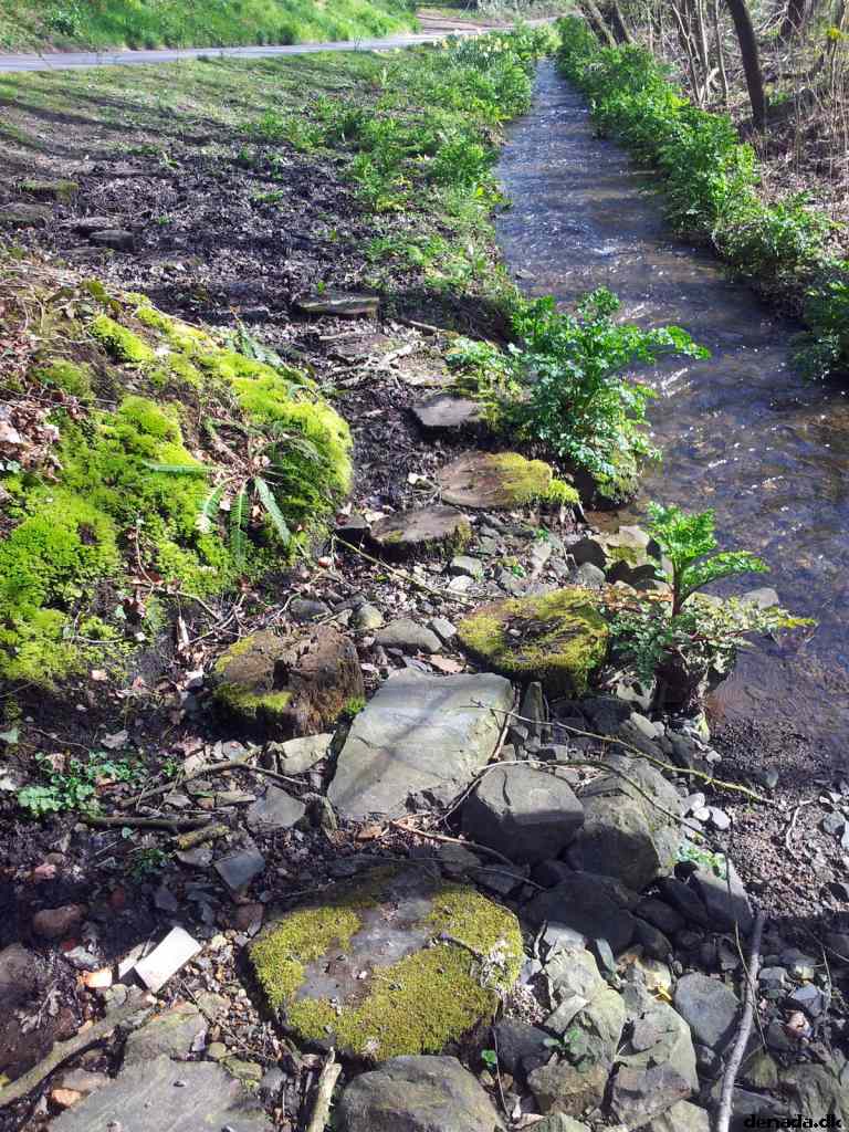* Image 99
