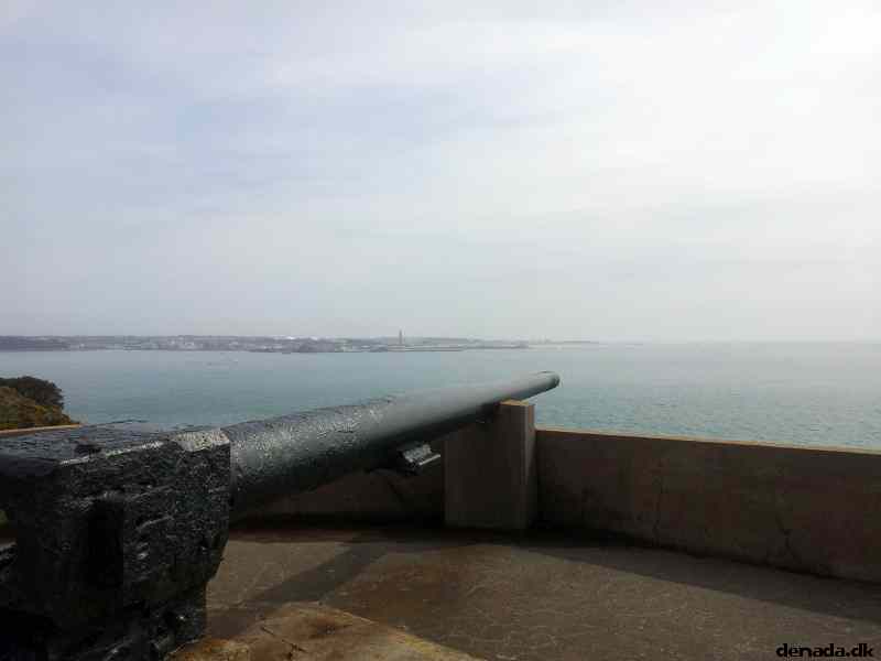 * Image 4