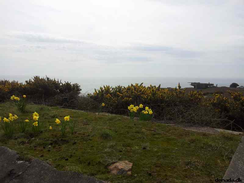 * Image 6