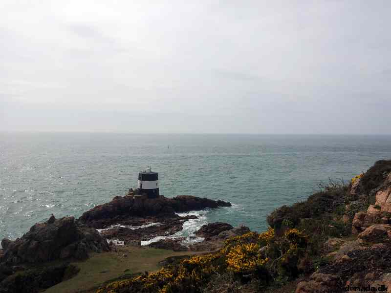 * Image 11