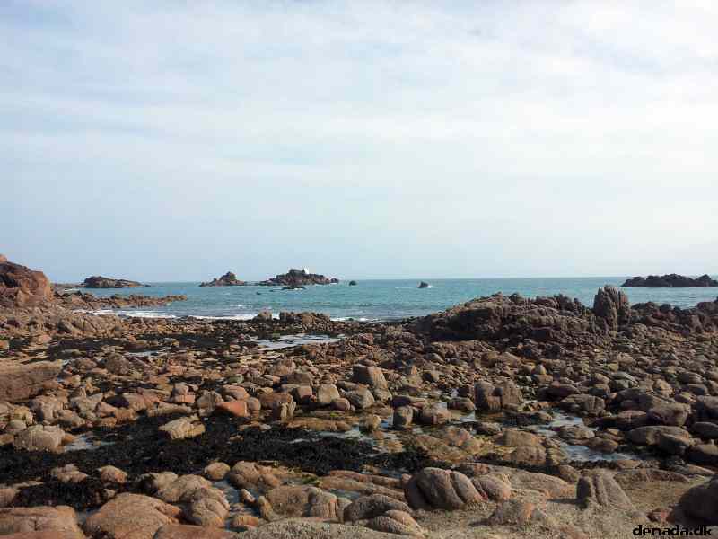 * Image 49