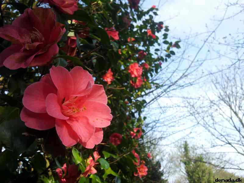 * Image 58