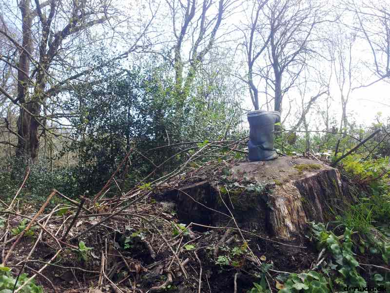 * Image 74