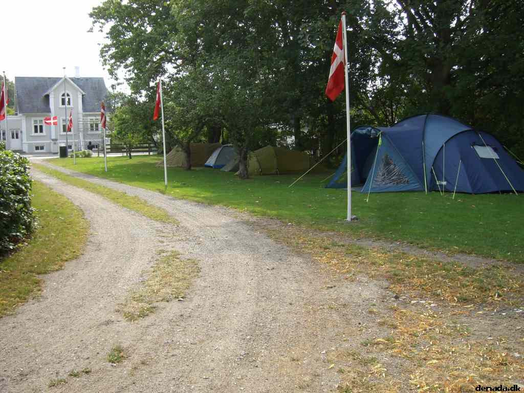 * Image 2
