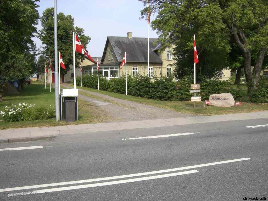 * Image 3