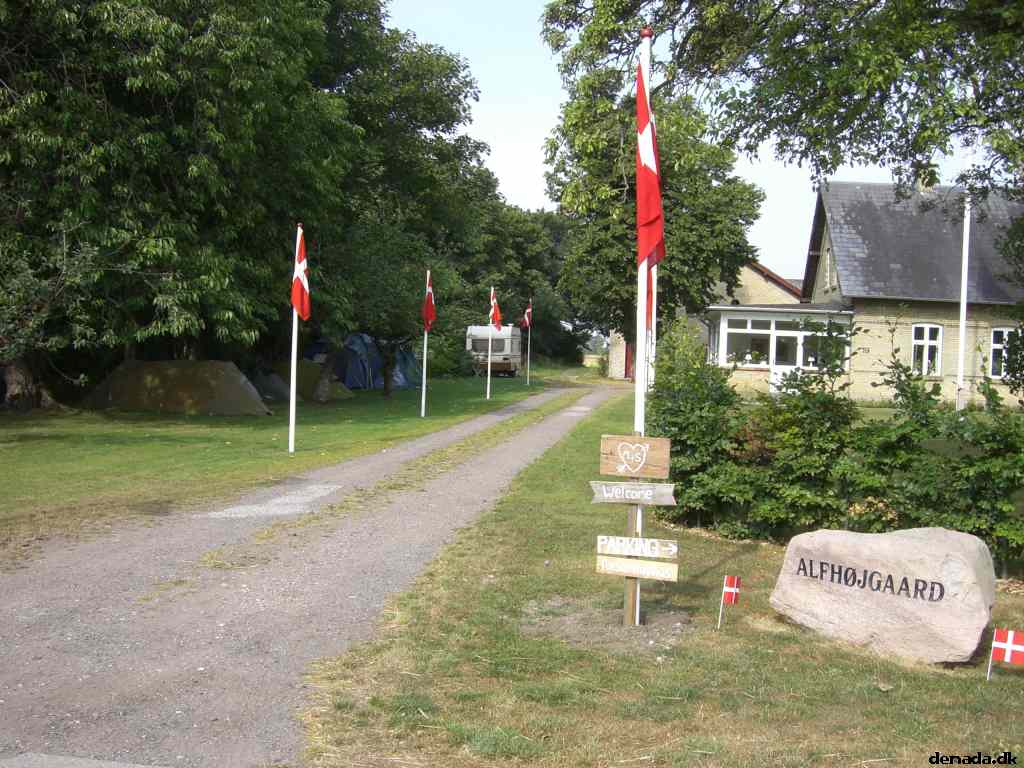 * Image 4