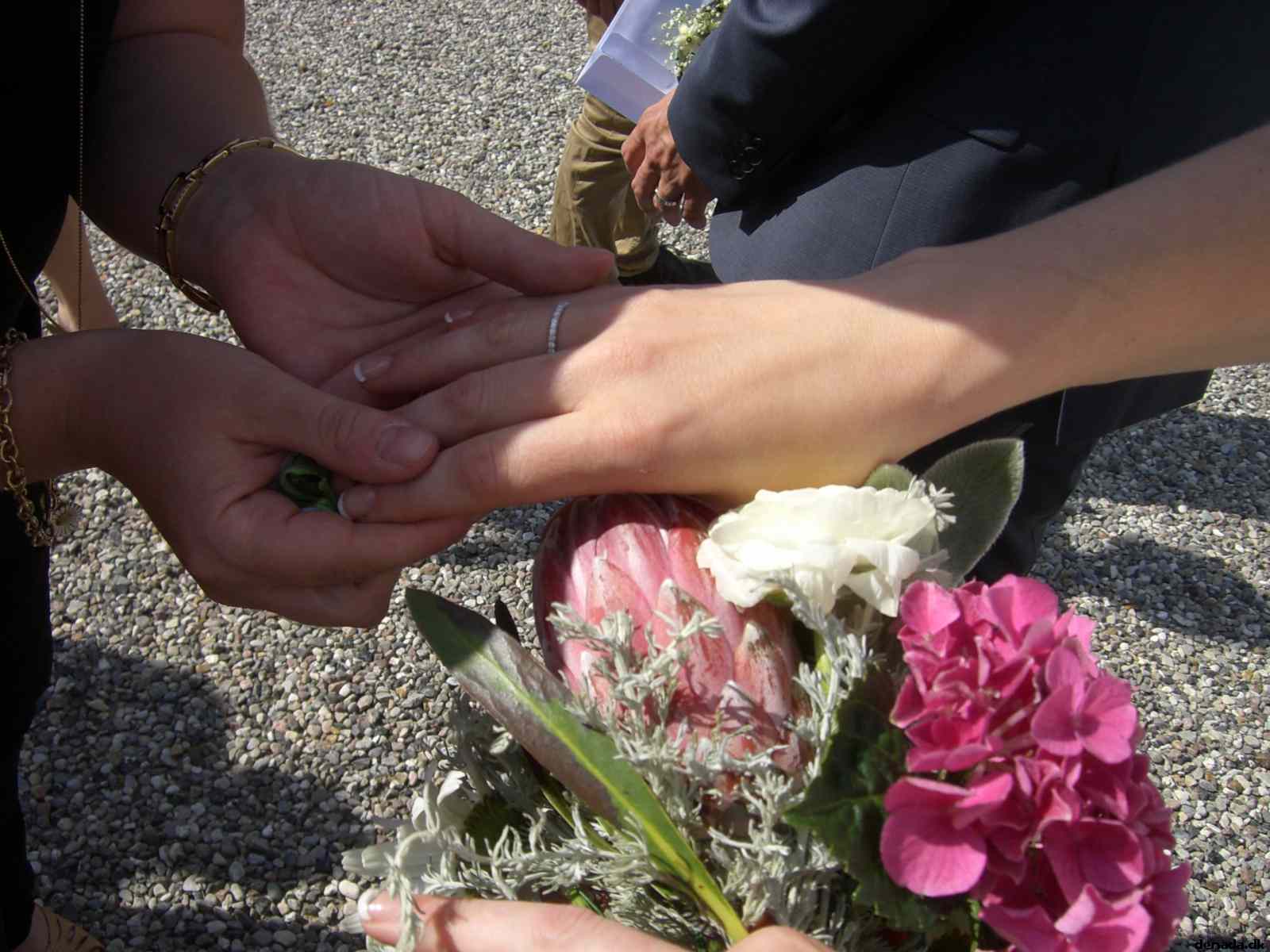 * Image 26