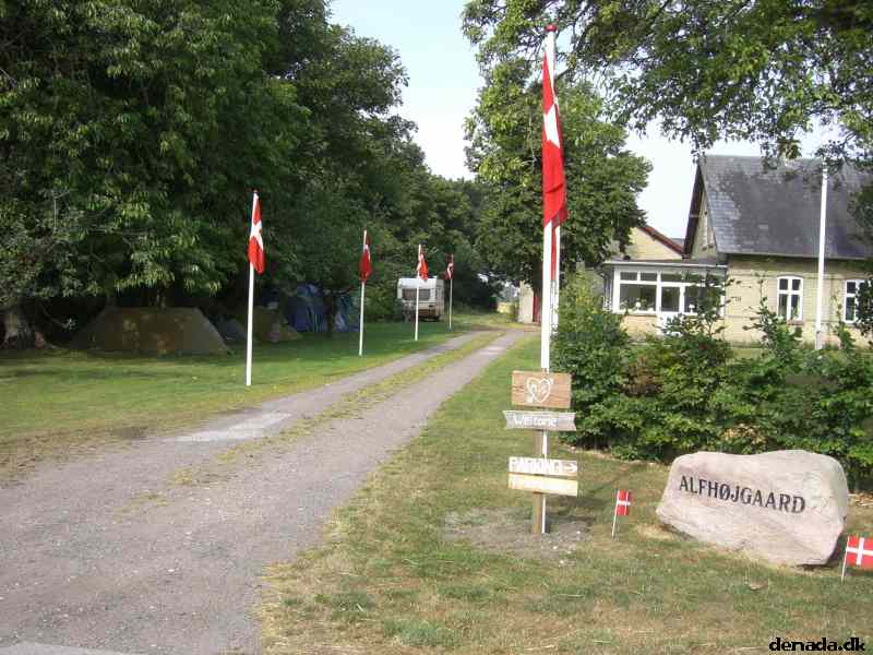 * Image 4