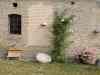 CIMG6722.JPG - 2013:08:03 08:35:36